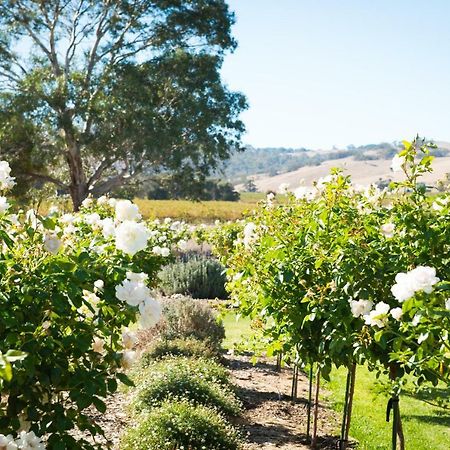 Barossa Vineyard Cottages 타눈다 외부 사진