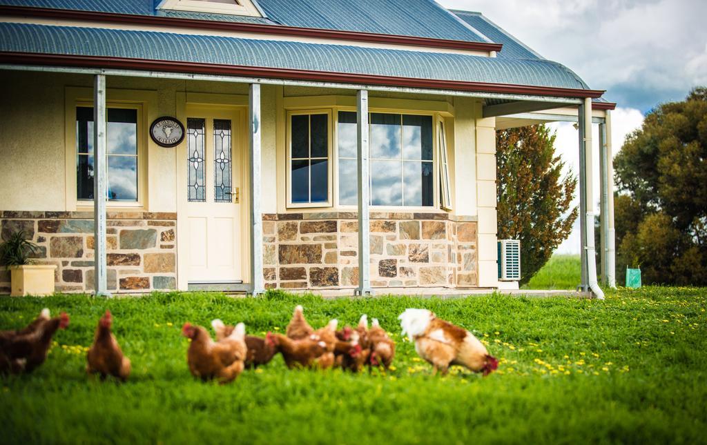 Barossa Vineyard Cottages 타눈다 외부 사진