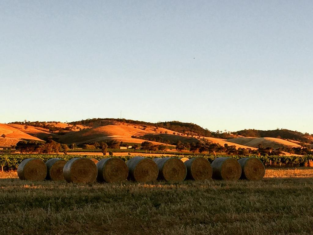 Barossa Vineyard Cottages 타눈다 외부 사진