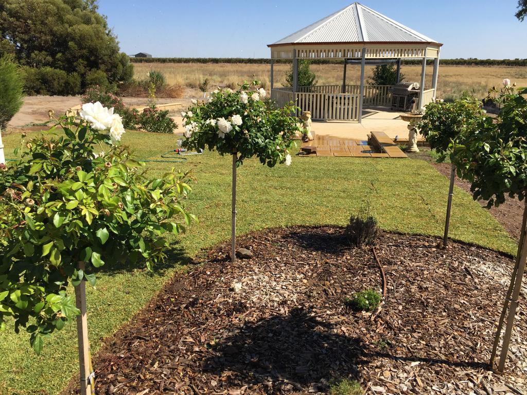 Barossa Vineyard Cottages 타눈다 외부 사진