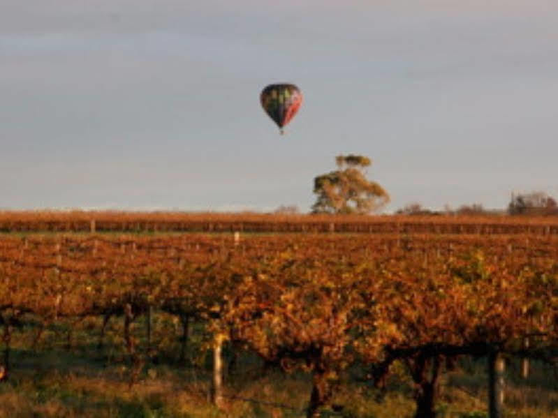 Barossa Vineyard Cottages 타눈다 외부 사진