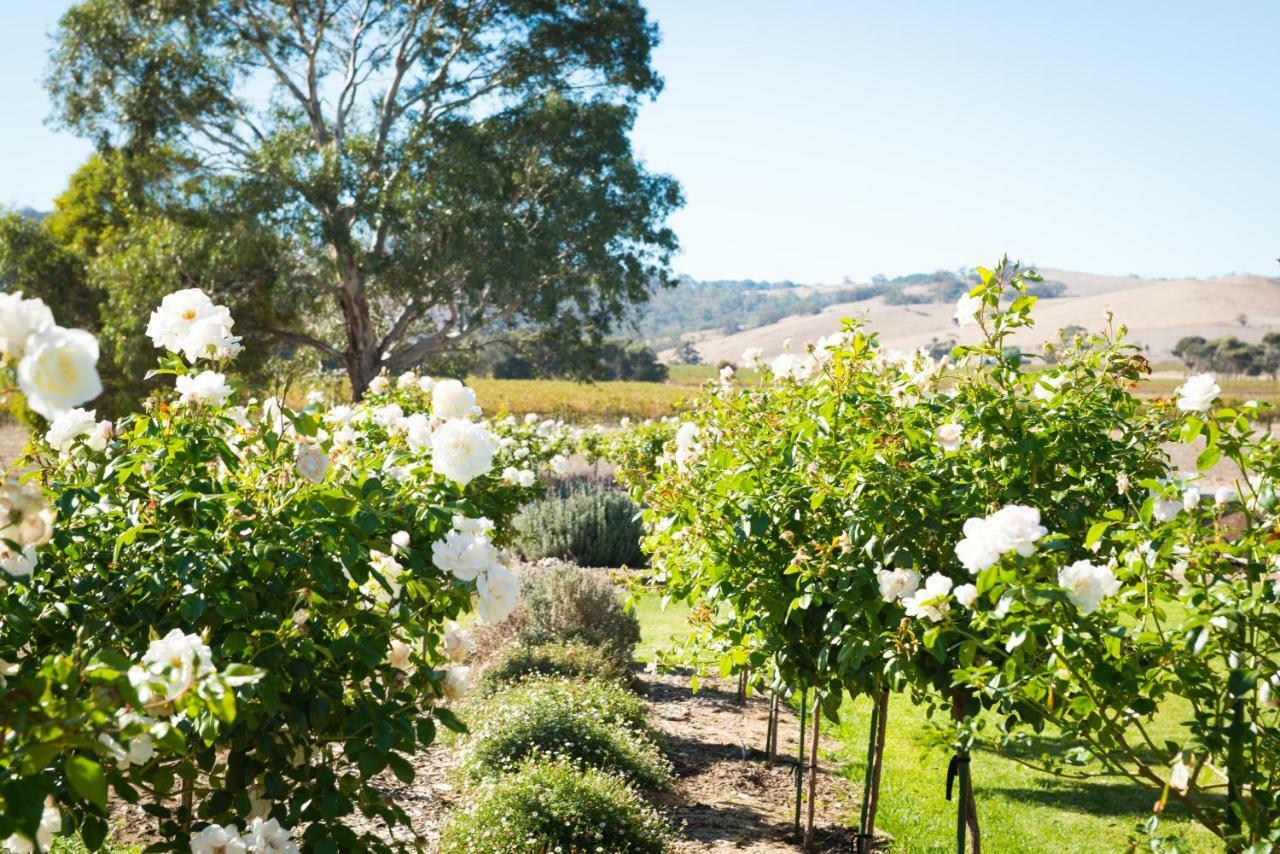 Barossa Vineyard Cottages 타눈다 외부 사진